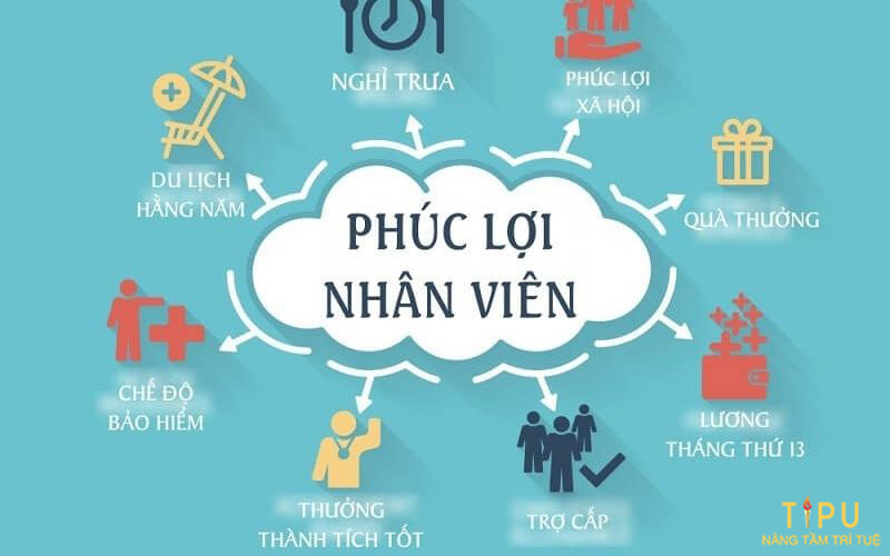 Quản lý nhân sự là gì? Vai trò và những kỹ năng cần có của HRM 21 Quản lý nhân sự là gì? Vai trò và những kỹ năng cần có của HRM