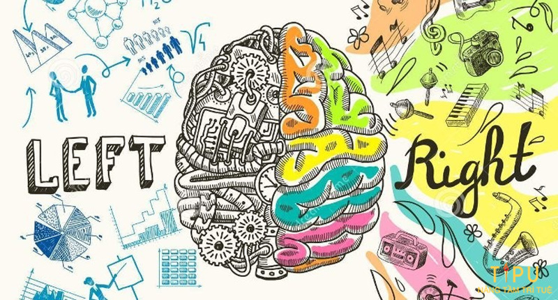 Tư duy logic là gì? Cách cải thiện kỹ năng tư duy logic 13 Tư duy logic là gì? Cách cải thiện kỹ năng tư duy logic